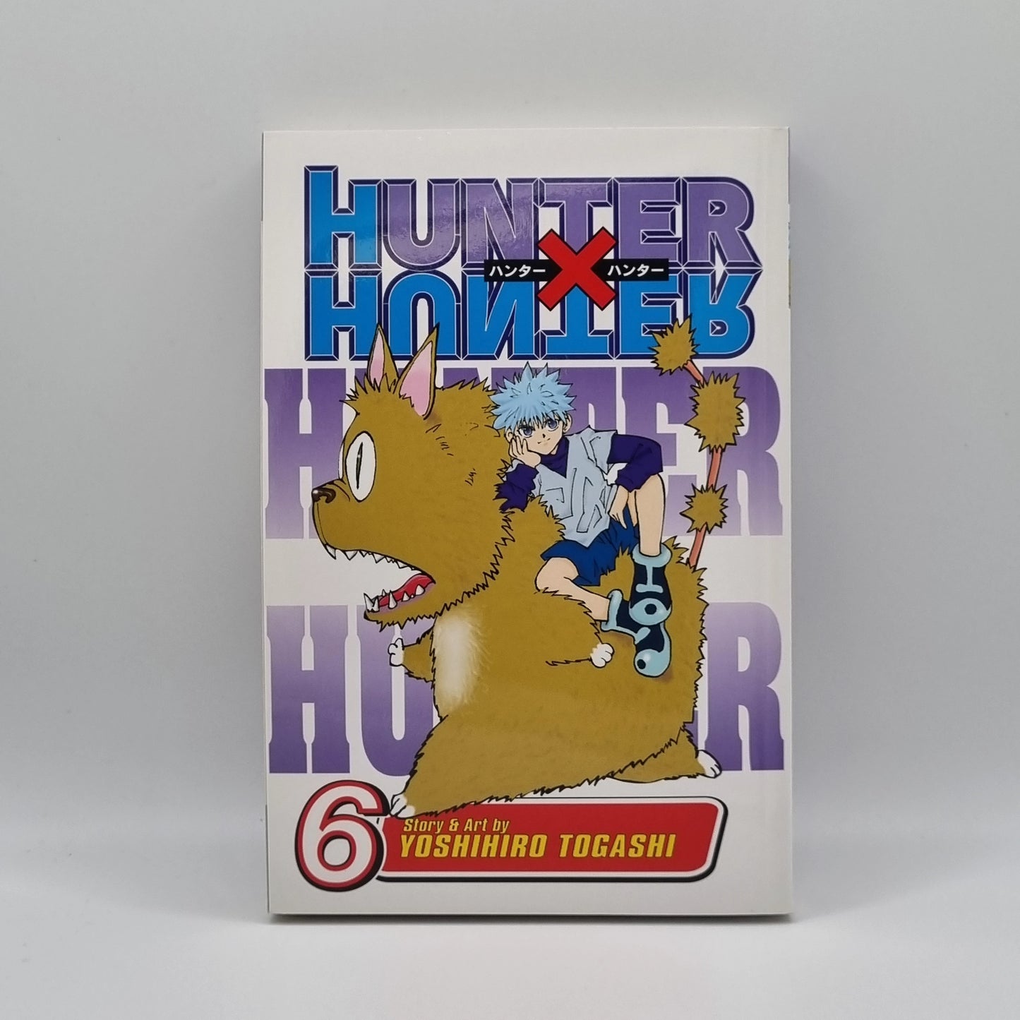Hunter x Hunter Manga Volume 6